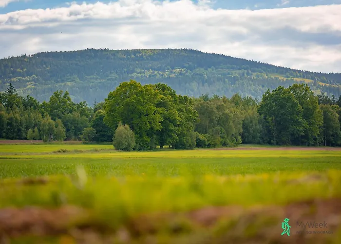 Dom W Starkowie, Sauna I Balia *